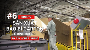 Lợi ích của việc in ấn thương hiệu trên bao bì carton