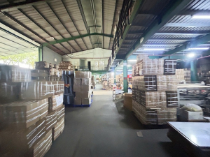In Hộp Carton
